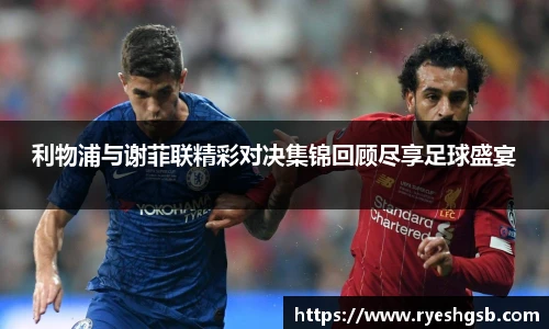 1xbet手机版登录